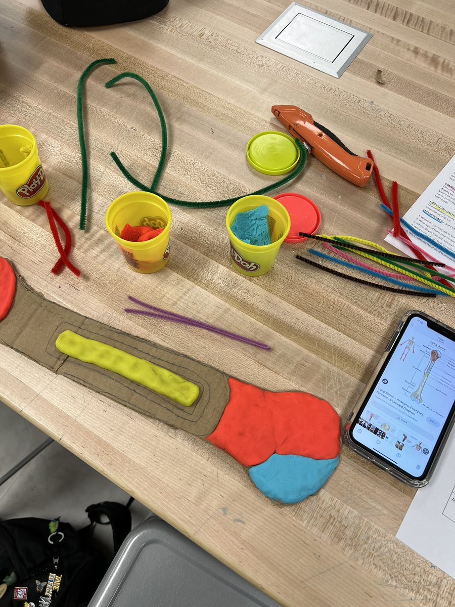 coachjstroh's tweet photo. Day 1 of “Build a Bone!” 🦴 Thank you to the love ladies of the @WGHS_LAIR for supporting my classes with creation and innovation! Can’t wait to go back next class to finish up! Thank you @DarilynKrempin for the idea! @WalnutGroveHS #prosperscience https://t.co/wEK5mQZflz