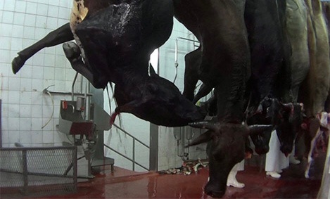 Graham Ⓐ 🏴 Ⓥ Use ALT tweet media