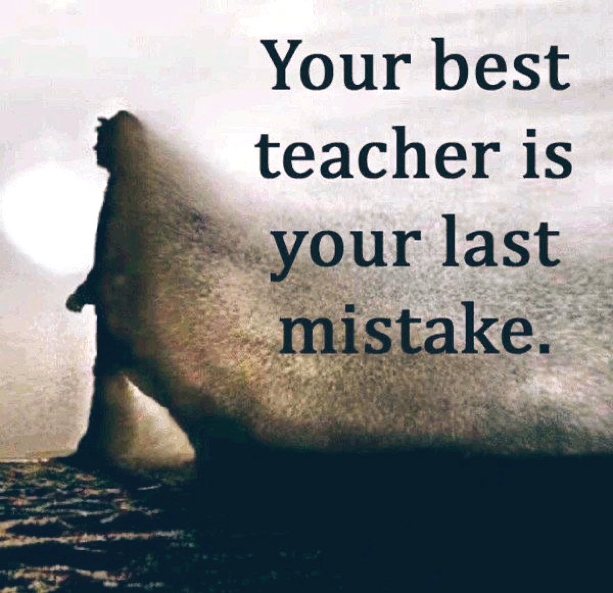 gary_hensel's tweet photo. https://t.co/bUrrb27ujF