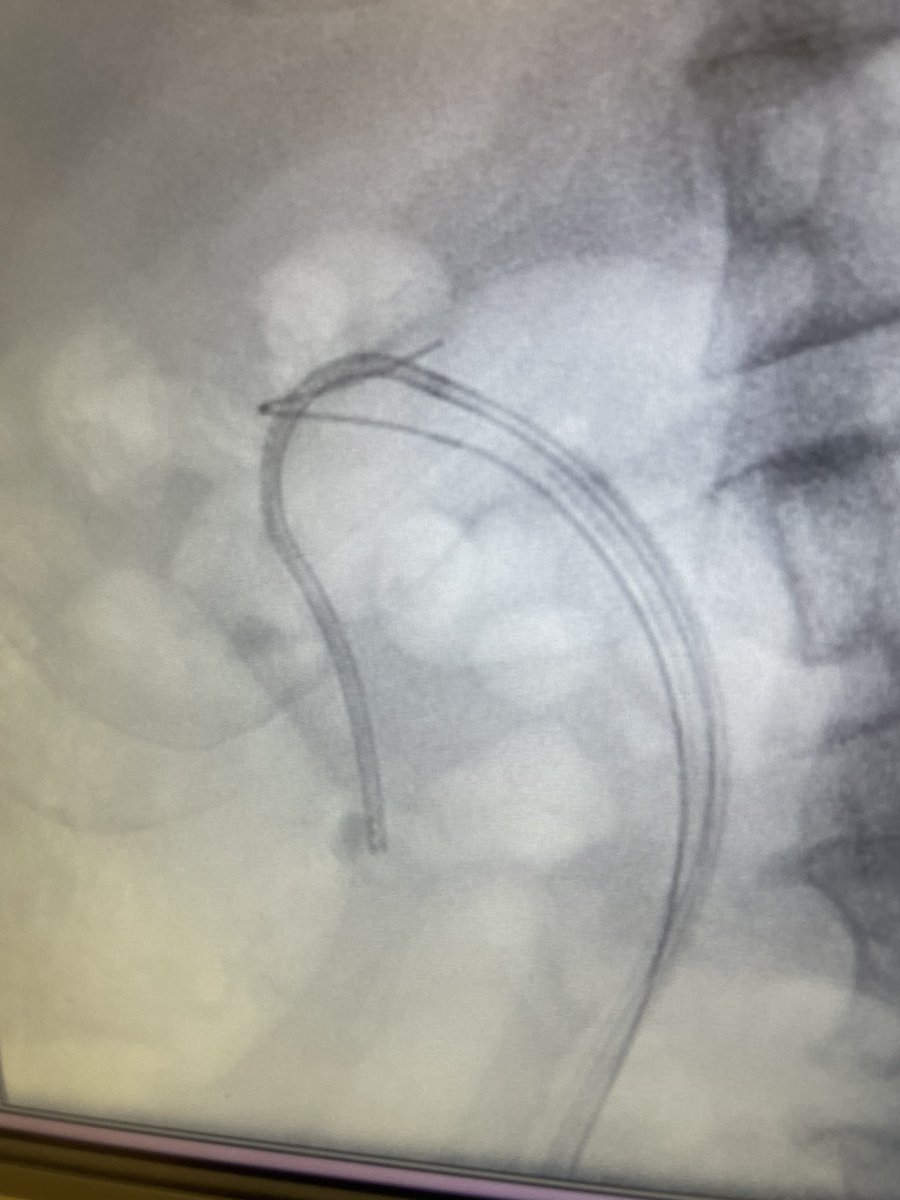 Jack Robb-Eadie tweet media