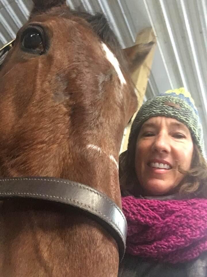 LusiAndAlbert's tweet photo. All Standardbreds share a universal birthday on January first. Magical Albert’s actual birthday is today, January 10. Happy Birthday, Albert. Happy Birthday to my sister, Lynel, too. #bigguybirthday #herdfamily #horselover #thebountyofillusionist #hugeheart #MagicalAlbert https://t.co/jbjKzLooMF