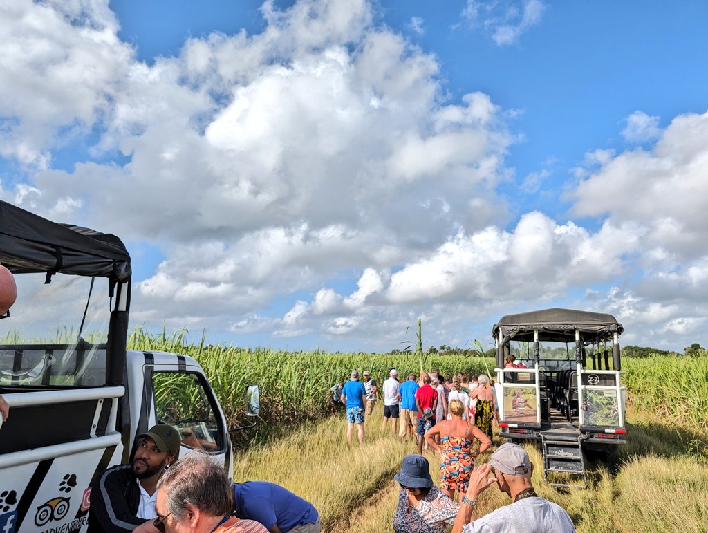 daldred007's tweet photo. Jan 10
10/365
007 is out and about again!
Early morning @pandocruises at La Romana, Dominican Republic. Tour by Safari bus with stops at a cigar factory, sugarcane fields, a Dominican ranch & the beach, plus rum & coconut drinks As well!
#shipshots #Arvia #Caribbean #laromana https://t.co/Dbo3I0xnw4