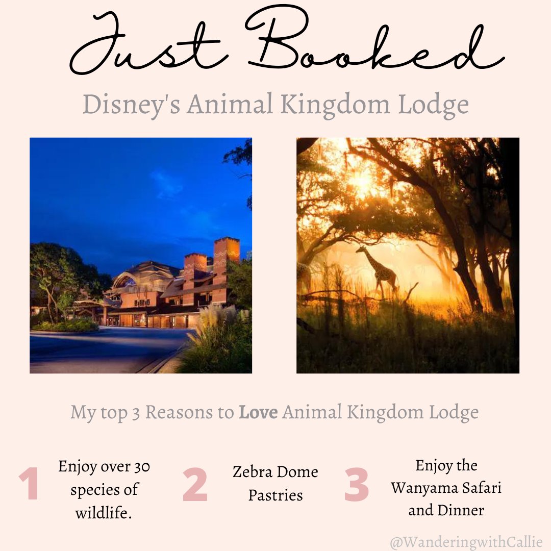 wanderingwithc1's tweet photo. Congrats to the "T" Family! They'll be staying with the animals over at Animal Kingdom Lodge Kidani Village home to it's own private Savanna where you can walk out and see animals right off the lobby every day before heading out to the parks. #animalkingdomlodge #letsgetyouthere https://t.co/AVeF4O89Bj