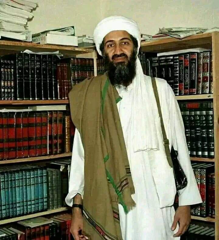 مجاہد اسلام میو tweet media