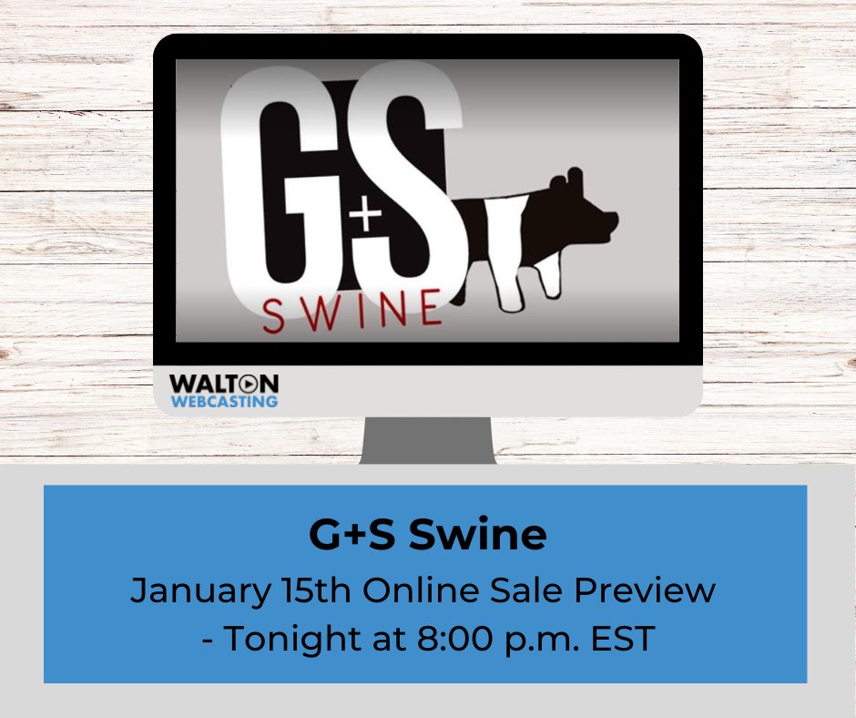 A double feature Showpig preview tonight!

Tune in to Platt Showpigs at 7:00 p.m. EST and G&amp;S Swine at 8:00 p.m. EST!
