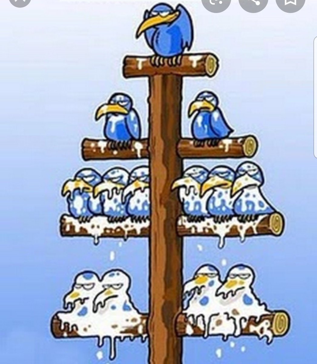 JulietBad's tweet photo. Vi esta otra teoría del derrame que si me pareció fantástica jeje.
Pero bueno, como ya estamos en en baile ahora nos toca resistir y luchar por lo que deseamos siempre: una Argentina más empatica y menos desigual 🙏🙏 https://t.co/3aTKiXuos1