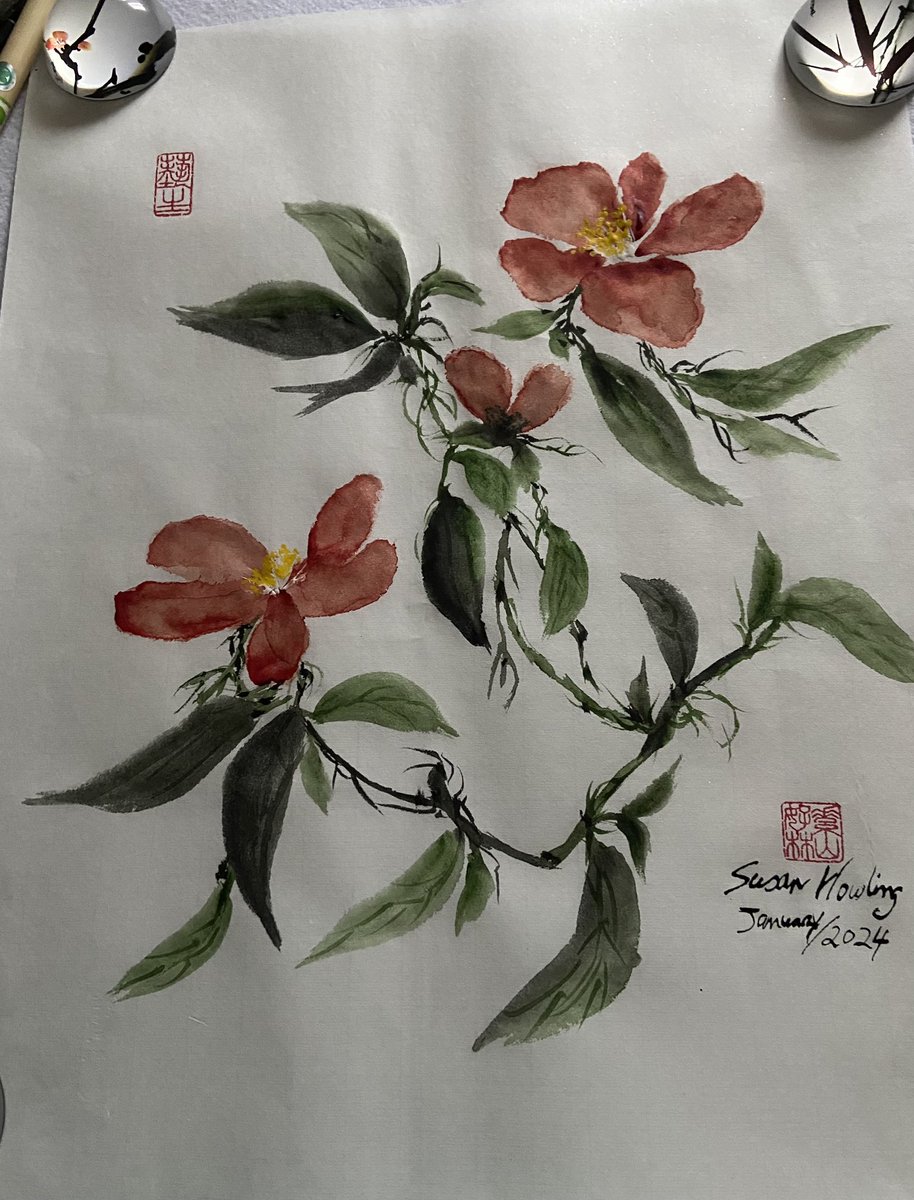 SusanHowling's tweet photo. Red Camellia in watercolour and ink https://t.co/sLMLfPO5Wi
