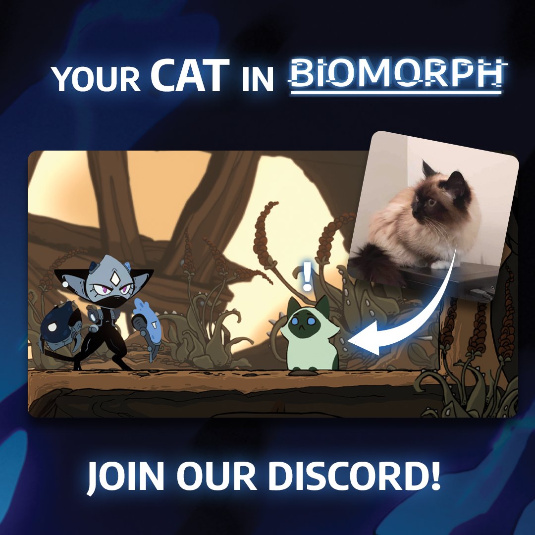 𝗬𝗢𝗨𝗥 𝗖𝗔𝗧 𝗜𝗡 𝗕𝗜𝗢𝗠𝗢𝗥𝗣𝗛 

If you want to see what your cat might look like in BIOMORPH, you've come to the right place!

CAT / SCARGATO THREAD 🧶🐱 #CatsOfTwitter #givaway #contestsontwitter