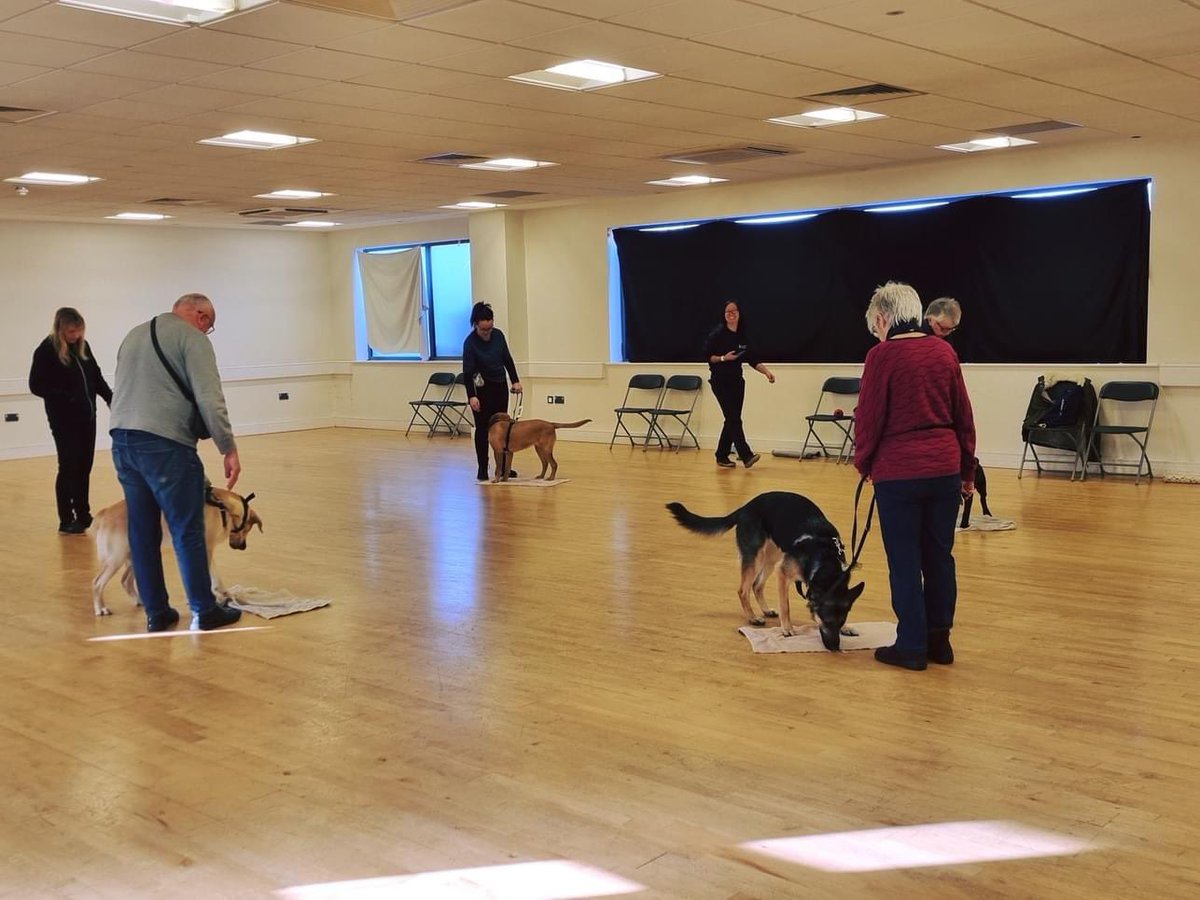 HempsteadValley's tweet image. Today Guide Dog Training sessions have been taking place in our Community Hall 🦮

#guidedogsfortheblind #hempsteadvalley