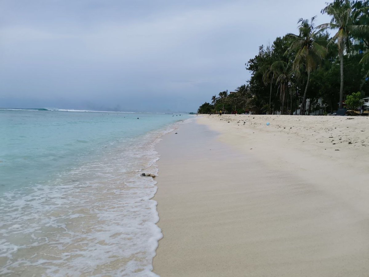 ޢަލީ ސުލައިމާން tweet media