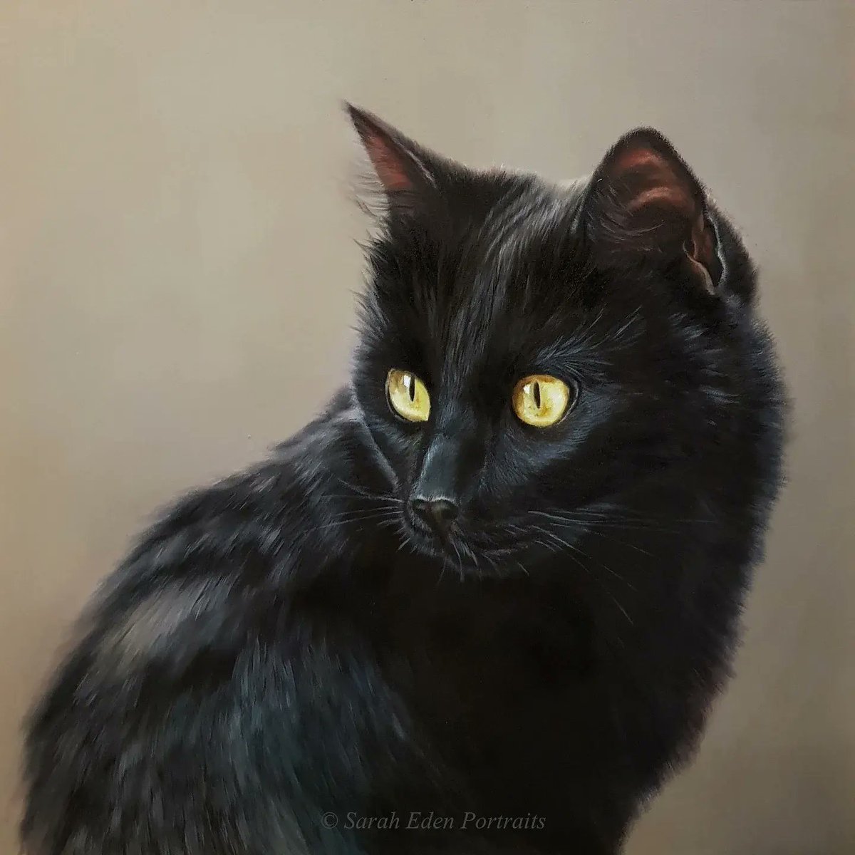 An oldie but still a favourite. 

'Mango', oil on board,  12 x 12'

#cat  #cats #cats_of_instagram #blackcat #lechatnoir #catsofinstagram #catlover #catlovers #tabbycat #tortoiseshell #silvertabby #art #art🎨 #oilpainting #portrait #artist #artistsofinstagram #paintingoftheday