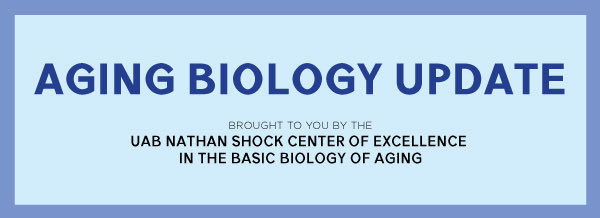 The UAB Nathan Shock Center January 2024 Aging Biology Update is now available: 

view.reach.uab.edu/?qs=7c1c1468f3…
