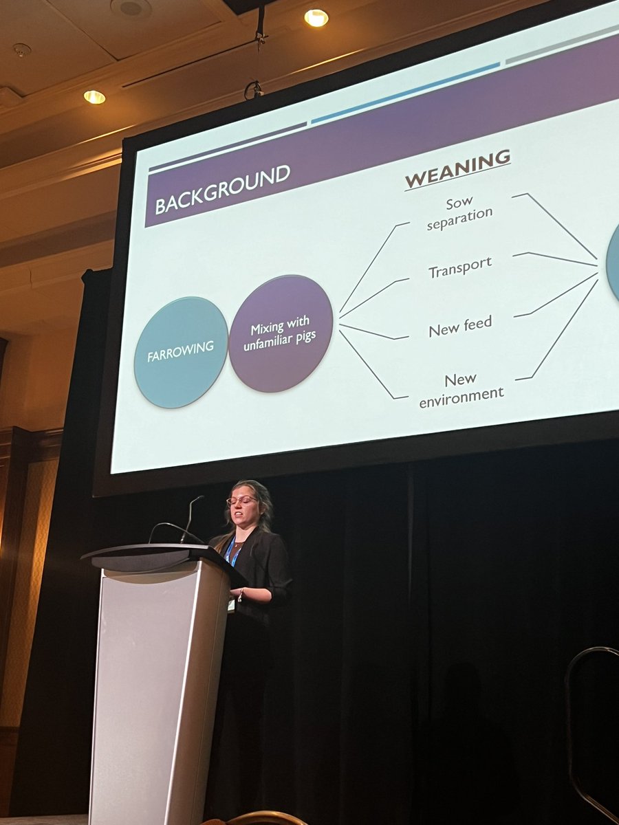 RuralRootsCda's tweet photo. Onto finalist presentations for the R.O Ball Young Scientist Grad Student Competition - congratulations to all the students presenting! #banffpork https://t.co/lxv9tubuNH