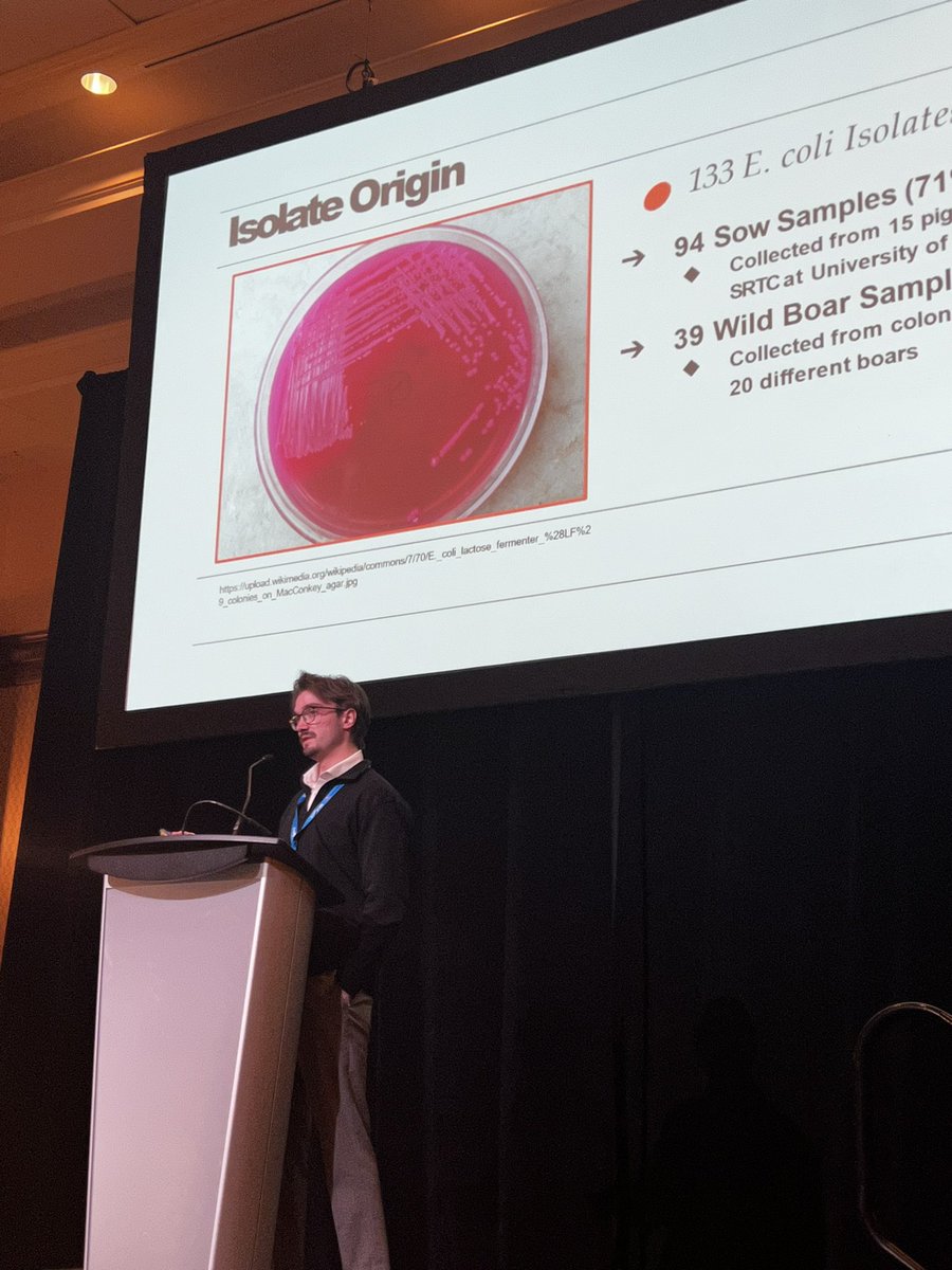 RuralRootsCda's tweet photo. Onto finalist presentations for the R.O Ball Young Scientist Grad Student Competition - congratulations to all the students presenting! #banffpork https://t.co/lxv9tubuNH
