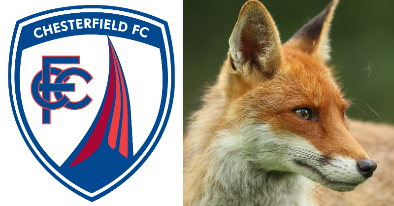 ProtectTheWild_'s tweet image. Hearing reports that @ChesterfieldFC will be hosting a ball for the Barlow Hunt at the end of this month.

RT if you agree this event should not be going ahead!

Waiting for an update.. in the meantime please contact the club with your thoughts.