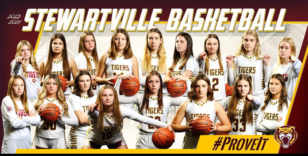 🚨‼️This Friday!!!🚨‼️ Come out to support the Stewartville Girls Basketball Team as we play @ HOME in “The Jungle” for Camper Night against Rochester Lourdes🦅 #ProveIT