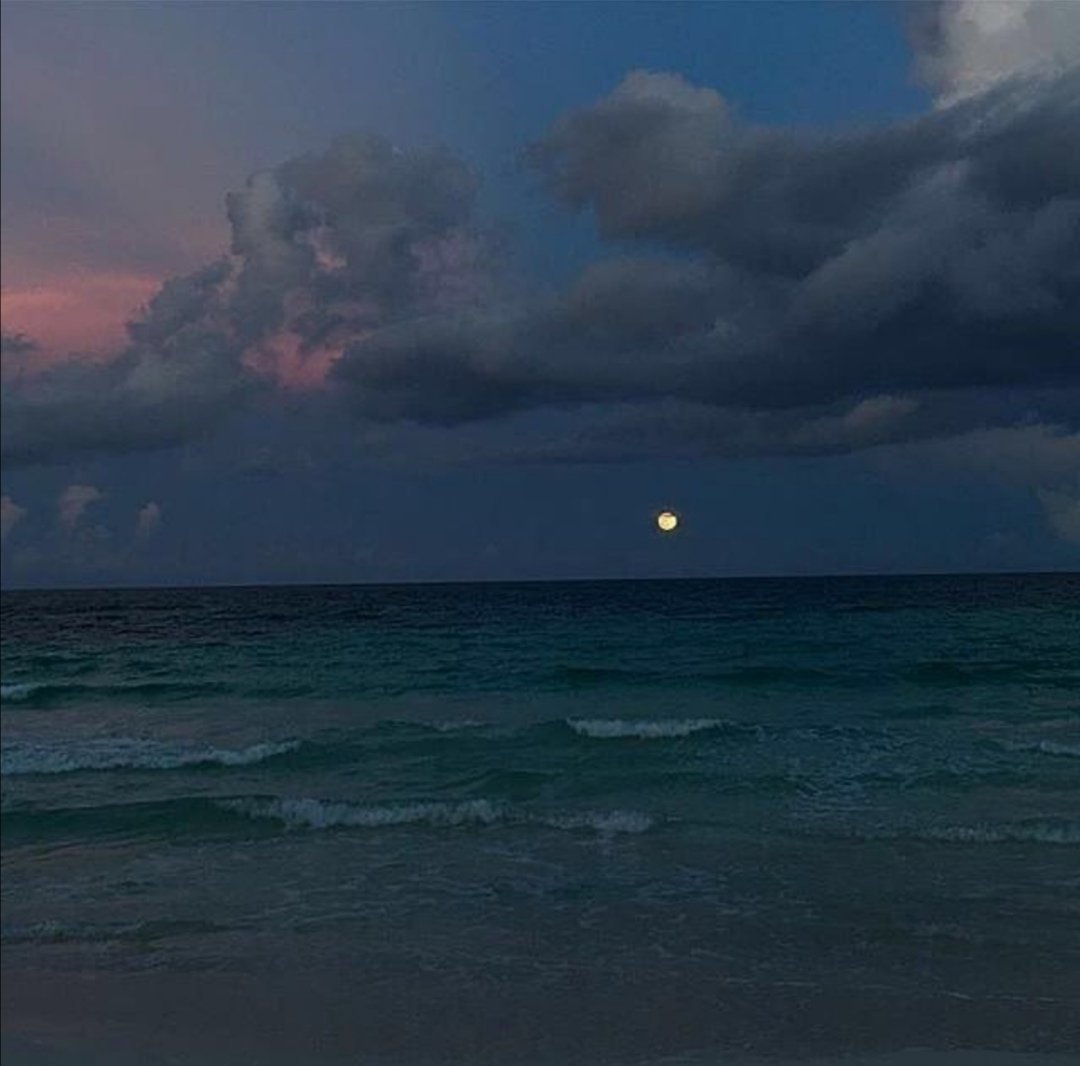 poeticalphotos's tweet image. 