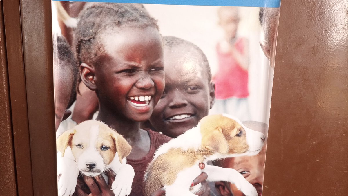 ParfaitKOFFI17's tweet photo. Vacciné son chien, c'est sauvé une vie ! https://t.co/zqTJvc7bpb