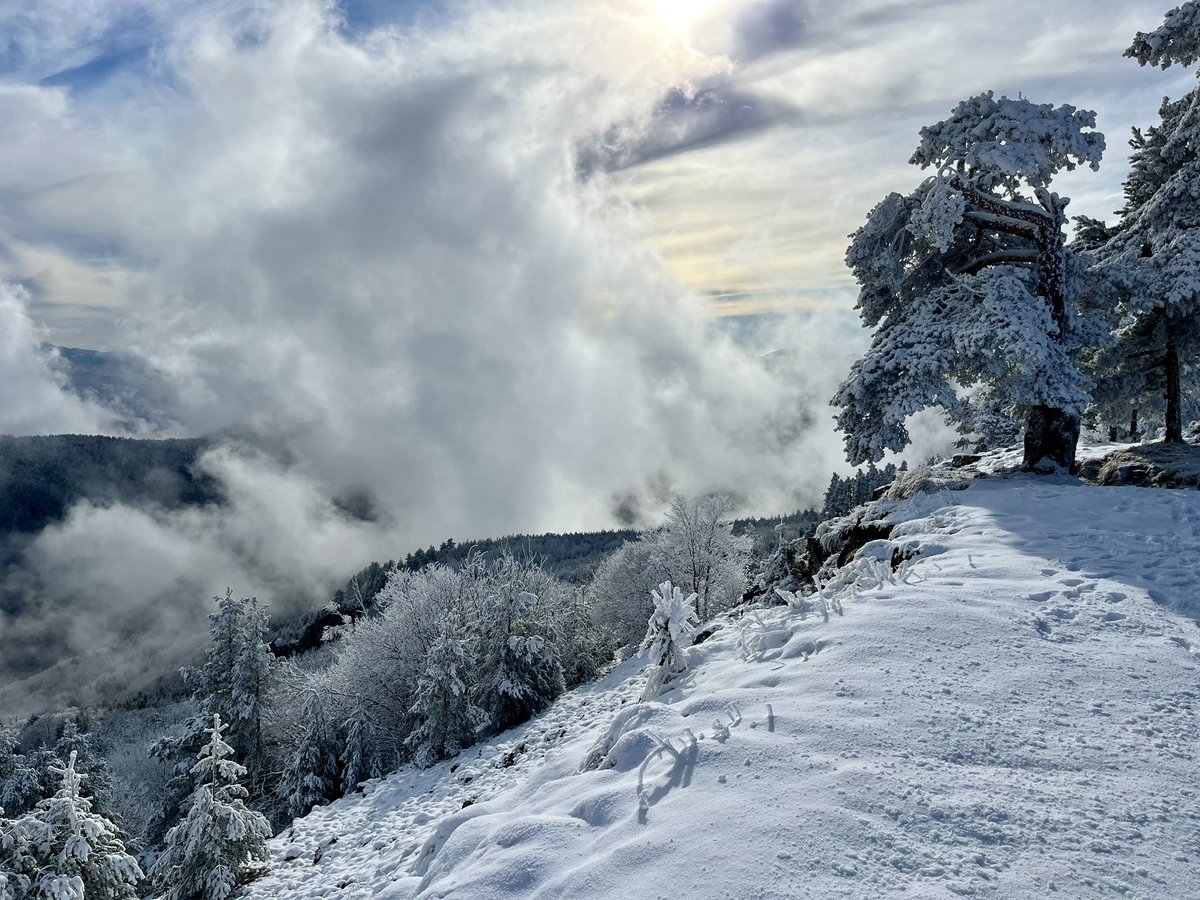 Winter mood