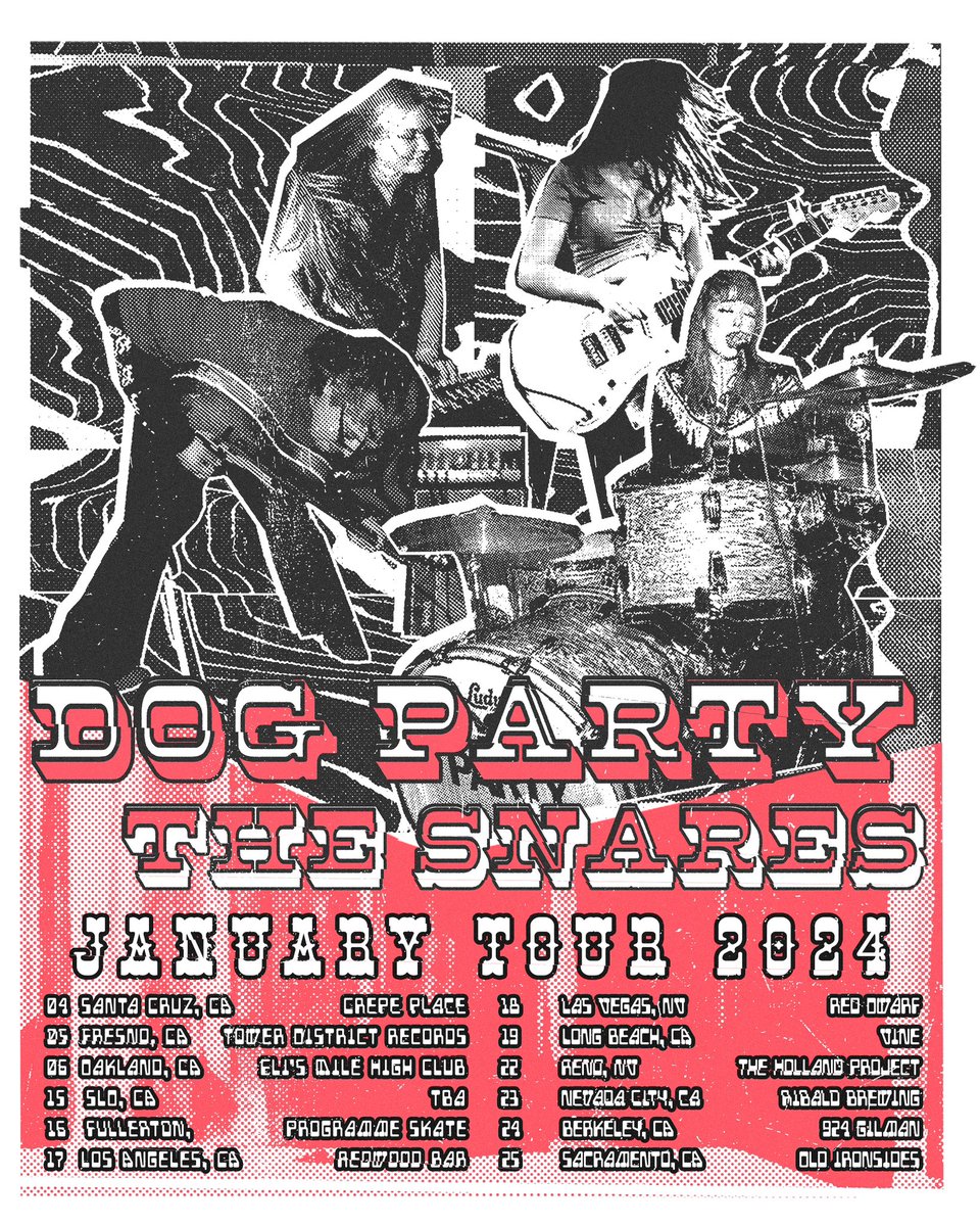 gwenniegiles's tweet photo. January is jam packed! @dogpartylive tour with The Snares picks up again next week 🔥 🚐 🎶 https://t.co/kPRQDXZ54Z