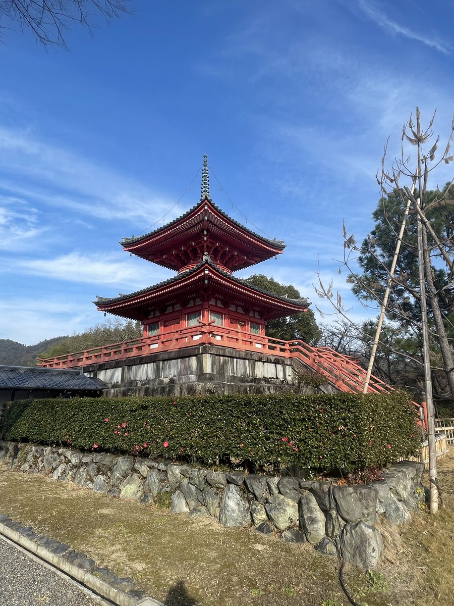 harshwinta's tweet photo. japan was amazing but its time to get back to low mastahs https://t.co/fFaVshDAnS