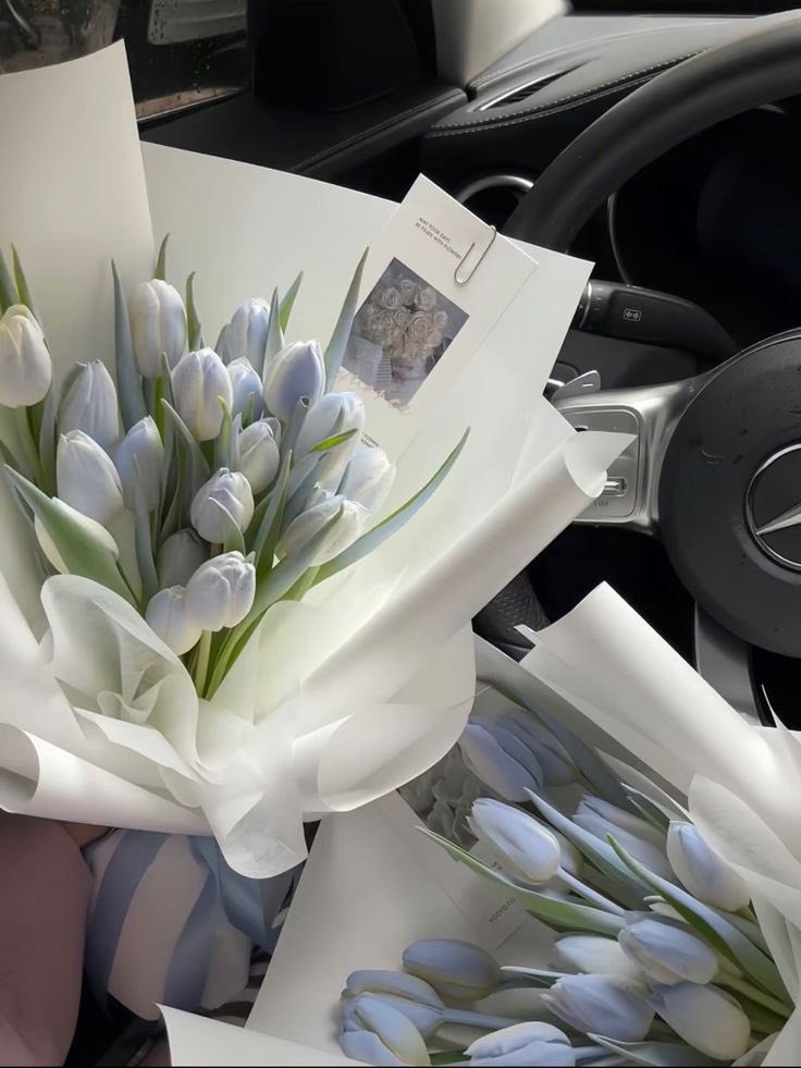 i3Moment's tweet photo. Tulips 🩶 https://t.co/Rjbxv2VZYp