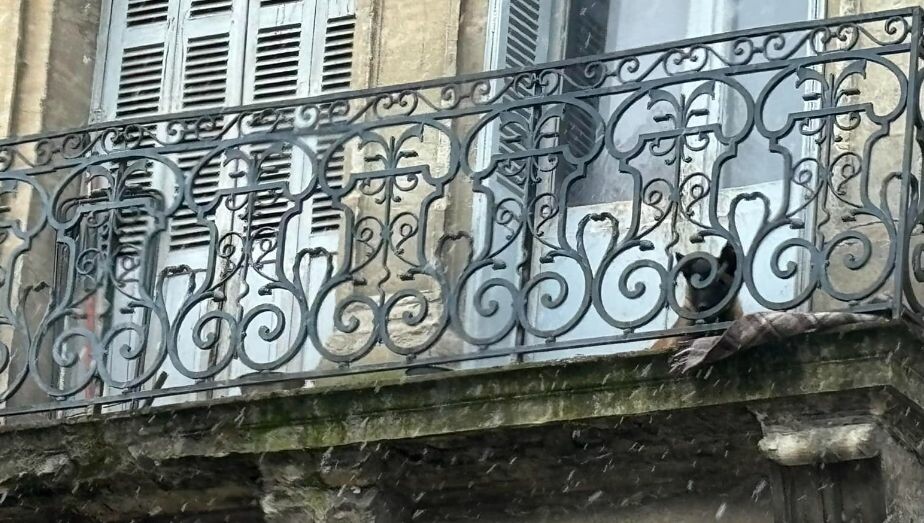 iciperigord's tweet photo. Un malinois de quatre mois laissé sur un balcon de #Périgueux par 0°C sauvé par les pompiers 
➡️ https://t.co/ZHUOQ9Boil https://t.co/73iv3UF50P