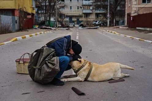 unnuovoinizio1's tweet photo. #DogsOfUkraine #StandWithUkraine #DefendDemocracyAidUkraine https://t.co/n8oVRVrllI