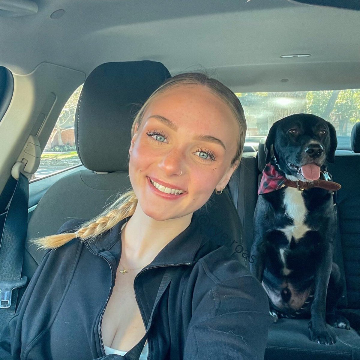 RylothsMec's tweet photo. #NewProfilePic
Womans best friend https://t.co/wT5HLwLWGi