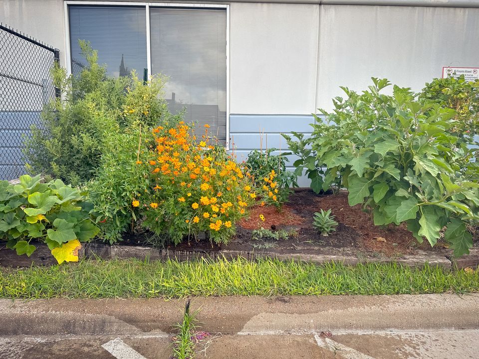 WHAMMinistries's tweet photo. New year, new beginnings! Watch WHAM sow seeds of hope in Houston this year. From food security to job training, we're growing a brighter future. Join us! https://t.co/JX4MxJasUo #WHAMinAction #CommunityGarden
Thanks for the photos, @westchasedistrict! https://t.co/I1ccvGku45