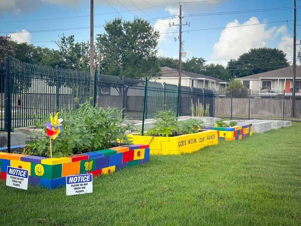 WHAMMinistries's tweet photo. New year, new beginnings! Watch WHAM sow seeds of hope in Houston this year. From food security to job training, we're growing a brighter future. Join us! https://t.co/JX4MxJasUo #WHAMinAction #CommunityGarden
Thanks for the photos, @westchasedistrict! https://t.co/I1ccvGku45