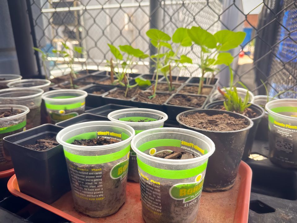WHAMMinistries's tweet photo. New year, new beginnings! Watch WHAM sow seeds of hope in Houston this year. From food security to job training, we're growing a brighter future. Join us! https://t.co/JX4MxJasUo #WHAMinAction #CommunityGarden
Thanks for the photos, @westchasedistrict! https://t.co/I1ccvGku45
