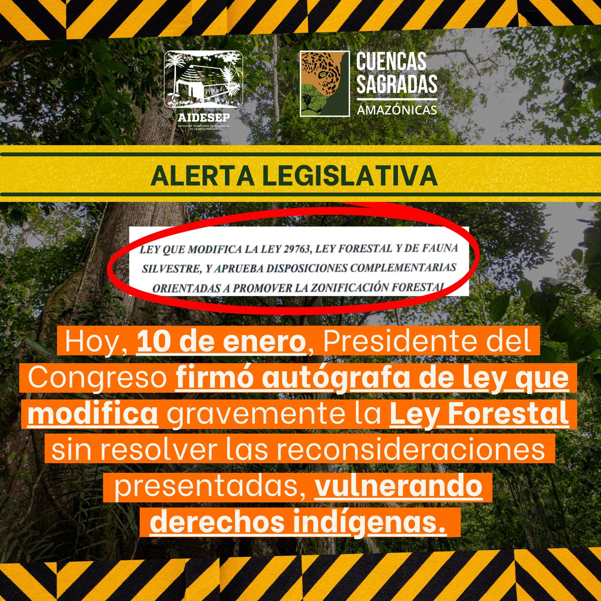 aidesep_org's tweet photo. #AlertaLegislativa | Violando su propio reglamento, el @congresoperu elimina de la web las reconsideraciones presentadas sobre proyecto de ley que modifica la #LeyForestal. Esto representa una grave violación de los derechos de los pueblos indígenas y pone en peligro la Amazonía. https://t.co/ZjX880e7oe