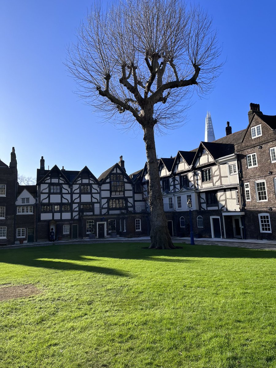 Mountnessing School tweet media