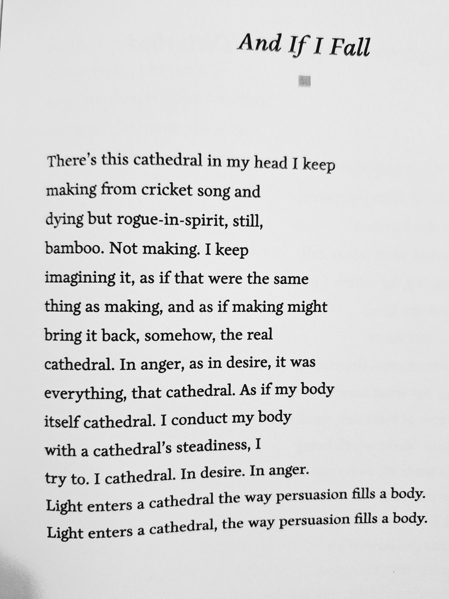 “And If I Fall” by Carl Philips

#jenniferjeanwriter #writinglife #creativelife #poetry #poetscommunity #writingcommunity #poetsofinstagram #bostonpoets #lilypoets #thursdaypoets #writinginspiration #tipsforpoets #writersofig #poetryreading