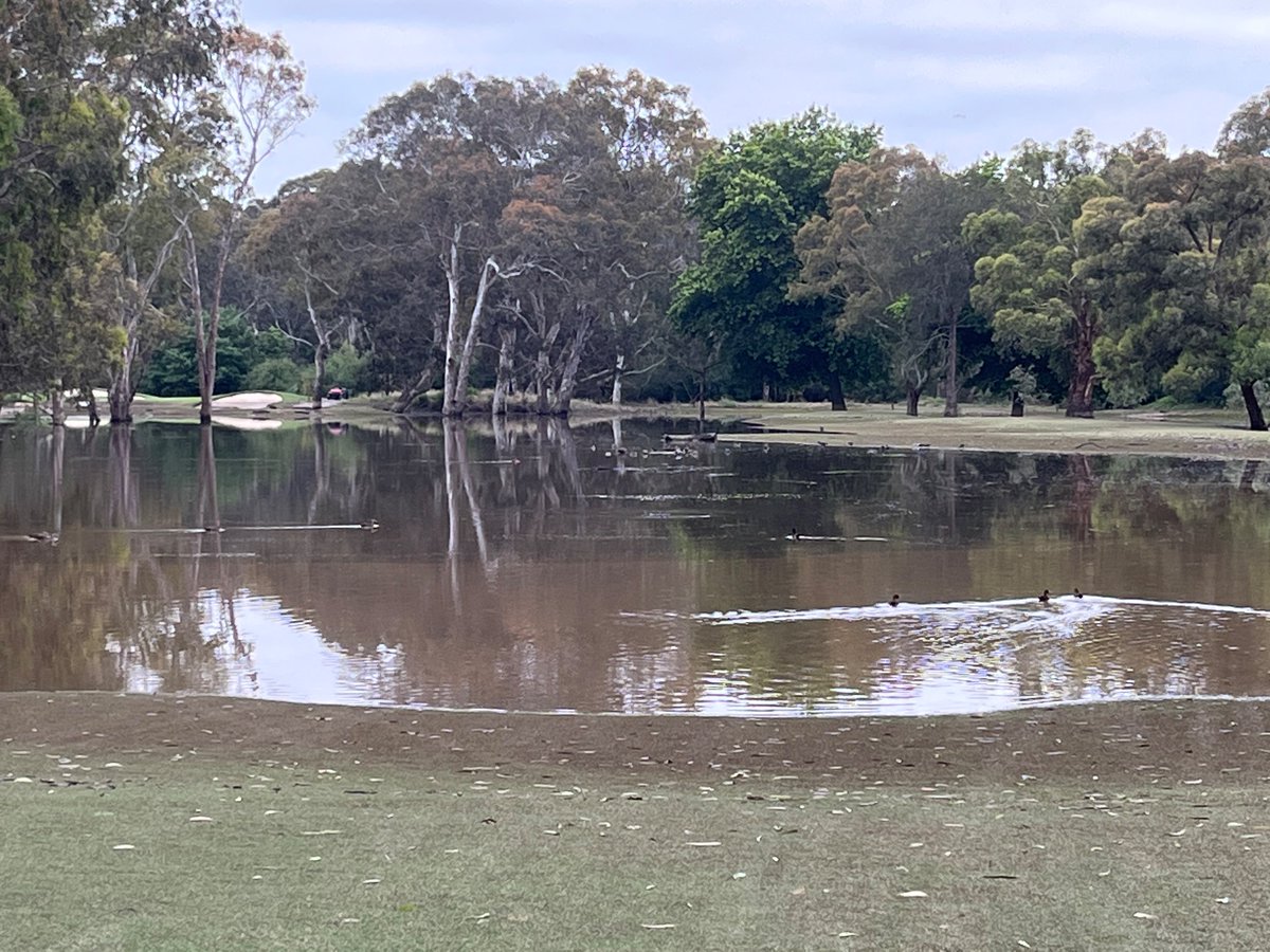 CamHall1980 (@camhall1980) on Twitter photo More areas now able to be accessed <a href="/KewGolfClub/">Kew Golf Club</a> with the final green getting hosed down this morning and all greens getting a cut before application of fungicide this afternoon.
Attitude and mental strength of the staff been amazing esp. after going through it twice 14 months ago More areas now able to be accessed <a href="/KewGolfClub/">Kew Golf Club</a> with the final green getting hosed down this morning and all greens getting a cut before application of fungicide this afternoon.
Attitude and mental strength of the staff been amazing esp. after going through it twice 14 months ago