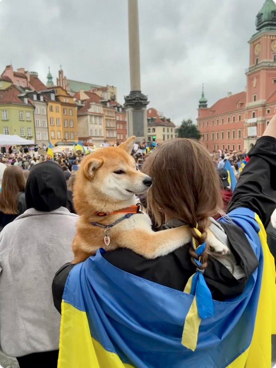 fan_zilli's tweet photo. #DogsOfUkraine
#StandWithUkraine
#DefendDemocracyAidUkraine https://t.co/QOxRWfiBRw