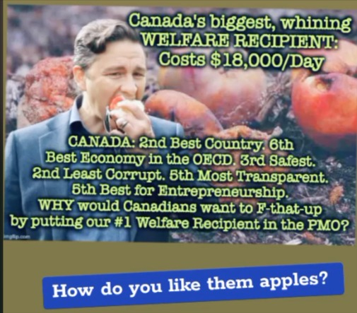 postcardstothe1's tweet photo. @PierrePoilievre https://t.co/Sif0DkRb6h