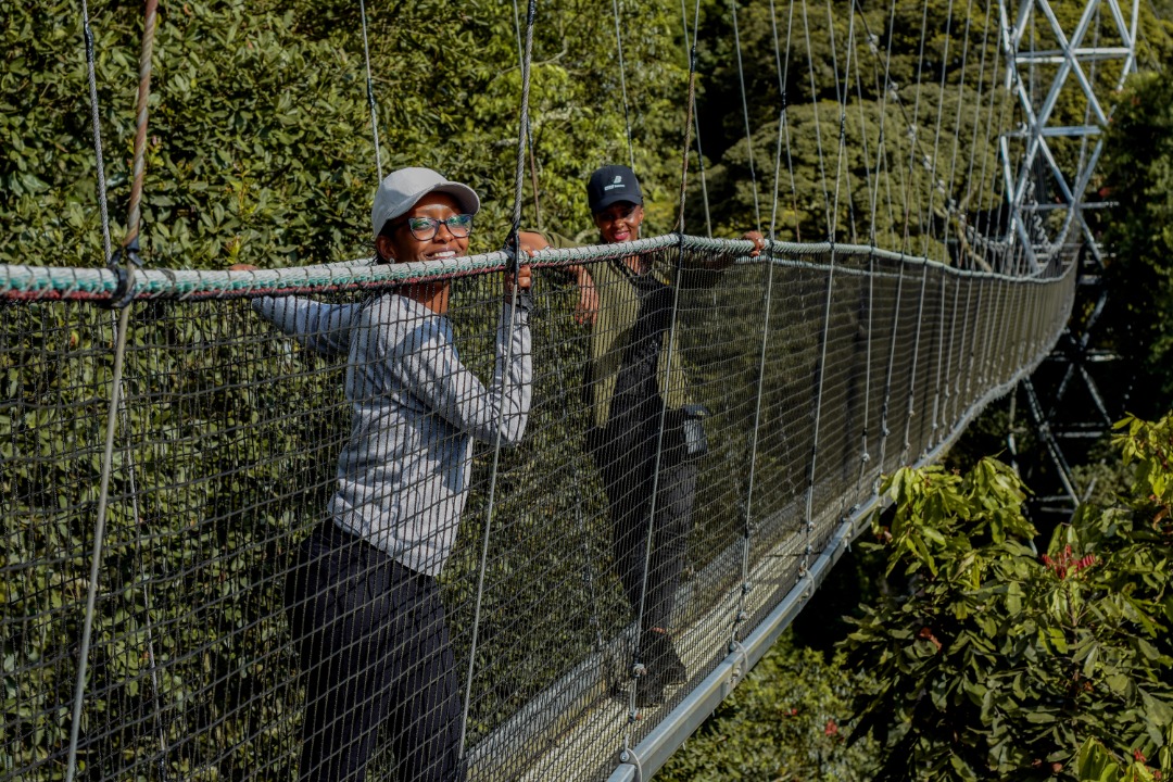 WCT_rw's tweet photo. Canopy walk😊 at @NyungwePark @visitrwanda_now; we connect people with nature through green and sustainable tourism. We'd like to encourage you to visit our website for more information. https://t.co/TzzhAgvZcK #wildlife #conservation #travel #nyungwe #canopywalk https://t.co/yWG3s13cAK