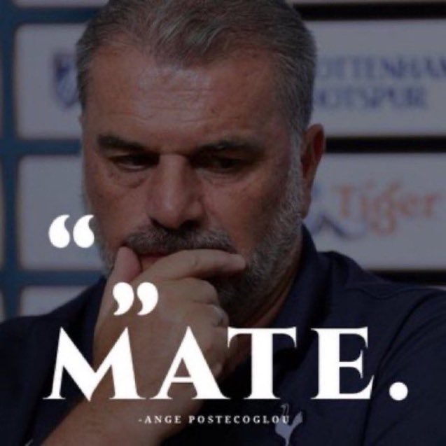 Ange called and asked me for some wisdom in his next press conference. I’m glad he used it 💪🏻 #THFC