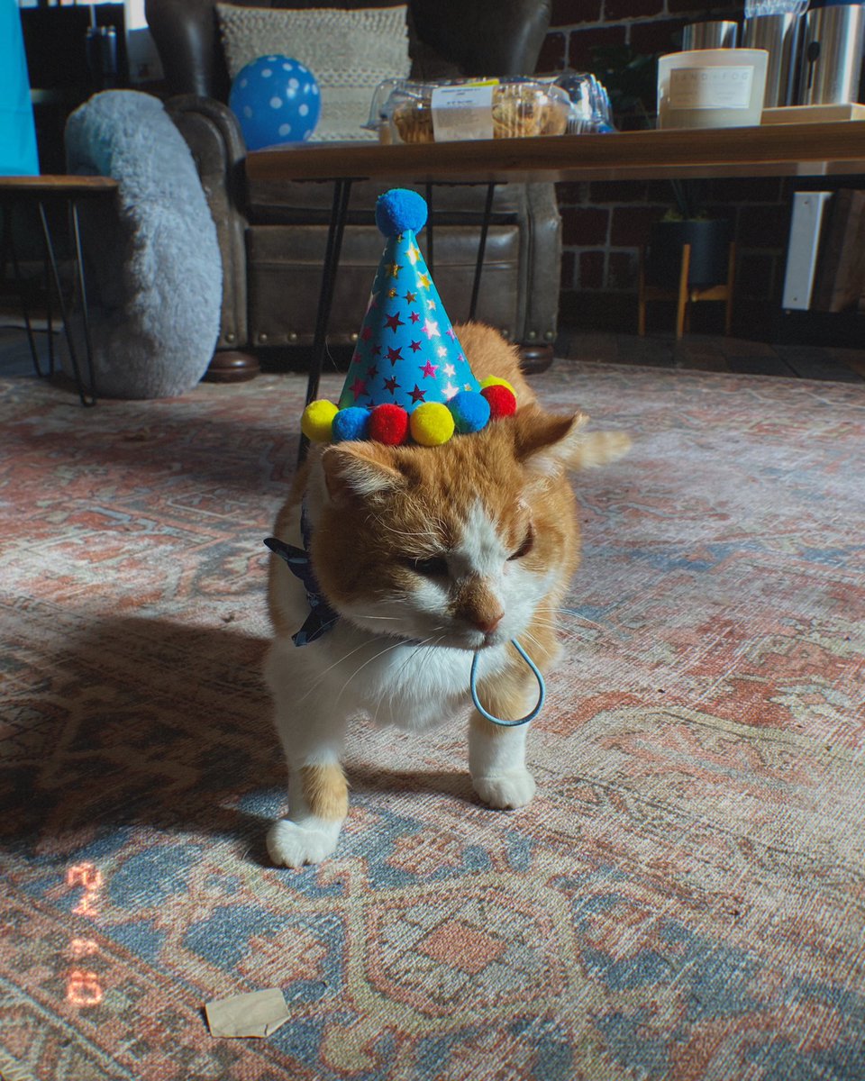castleandkey's tweet image. Happy 12th birthday to our very own, Rick Key! 🥳🐈🧁🏰 Protector of our castle and keeper of our hearts — our family wouldn’t be complete without our Master Distinguished Gentleman™️! Join us in a toast and wishing him the happiest birthday! 🥃🫶🏼 #castleandkey #rickkey