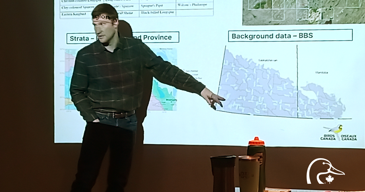 Great presentation from Ian Cook @BirdsCanada showing loss of grasslands in Manitoba contributing to a loss of birds. His bird index shows DUC projects help maintain biodiversity and bird populations. loom.ly/GUqvIxc