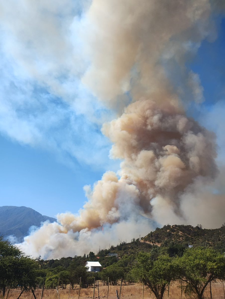 AgenciaQuinta's tweet photo. 🔴AHORA: SENAPRED declara alerta roja para la comuna de Quilpué por incendio forestal en el sector Los Yuyos, Colliguay. En desarrollo… https://t.co/GGYgH9X9Lc
