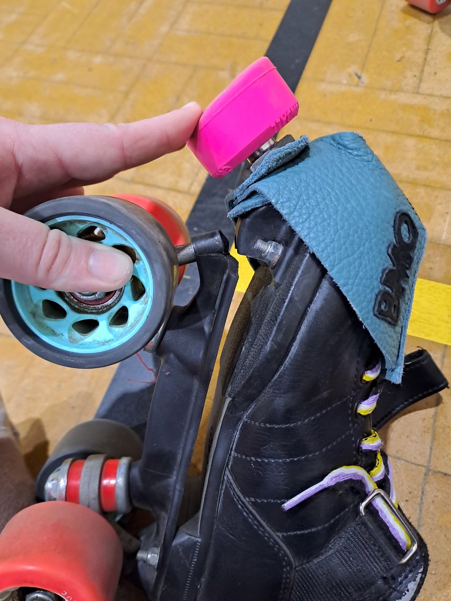 lafonsame's tweet photo. RIP Skate. You were so good to me. 😭 https://t.co/i60vCPOiOz