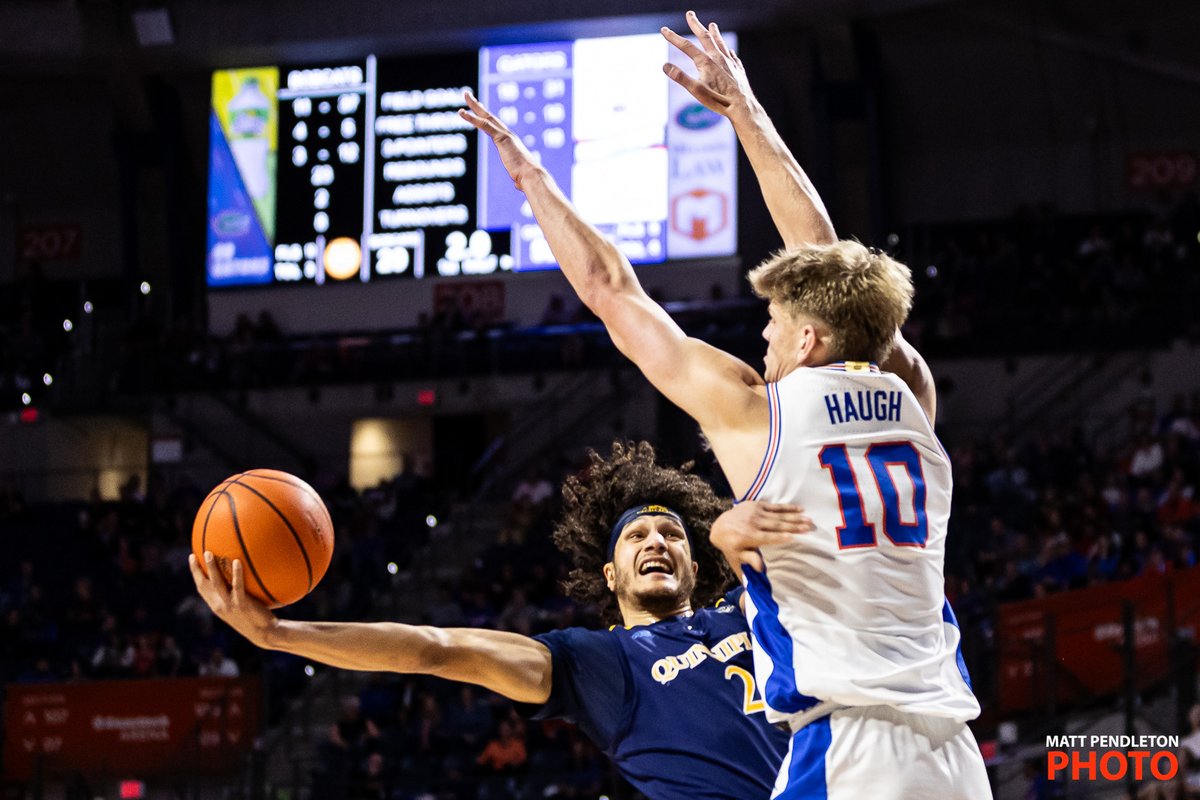 bymattpendleton's tweet photo. #FourFrames from the Florida v Quinnipiac men's basketball game on Dec 30th 2023.
📸 for @usatodaysports https://t.co/OREIatvzV1