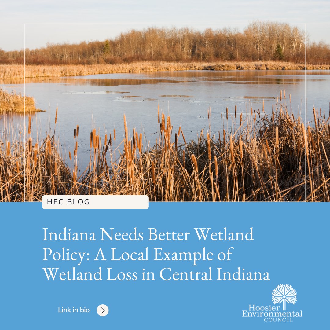 HEC_ED's tweet photo. It’s no secret that Indiana’s water policy has failed to protect one of our most precious resources: wetlands. Read more in our latest blog.

https://t.co/MDDFsDXmLJ https://t.co/W6IusludTl
