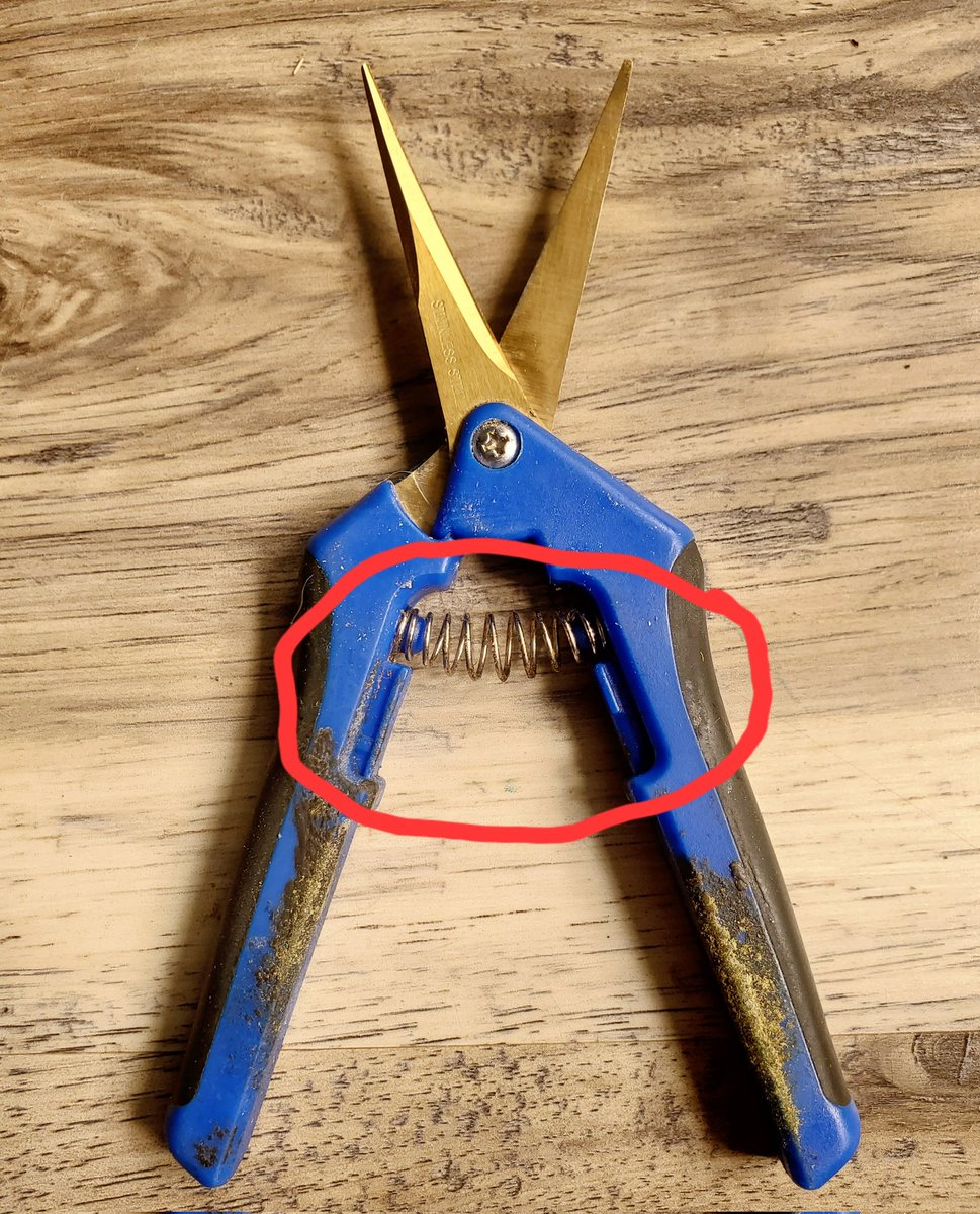 medicalgrower42's tweet photo. Dear Pruning Shears Manufacturers. 
Make better quality locks on your shears! PS Every single grower! 🤣 
#Shears #420community
#StonerFam #Homegrown https://t.co/SywopVcQKt