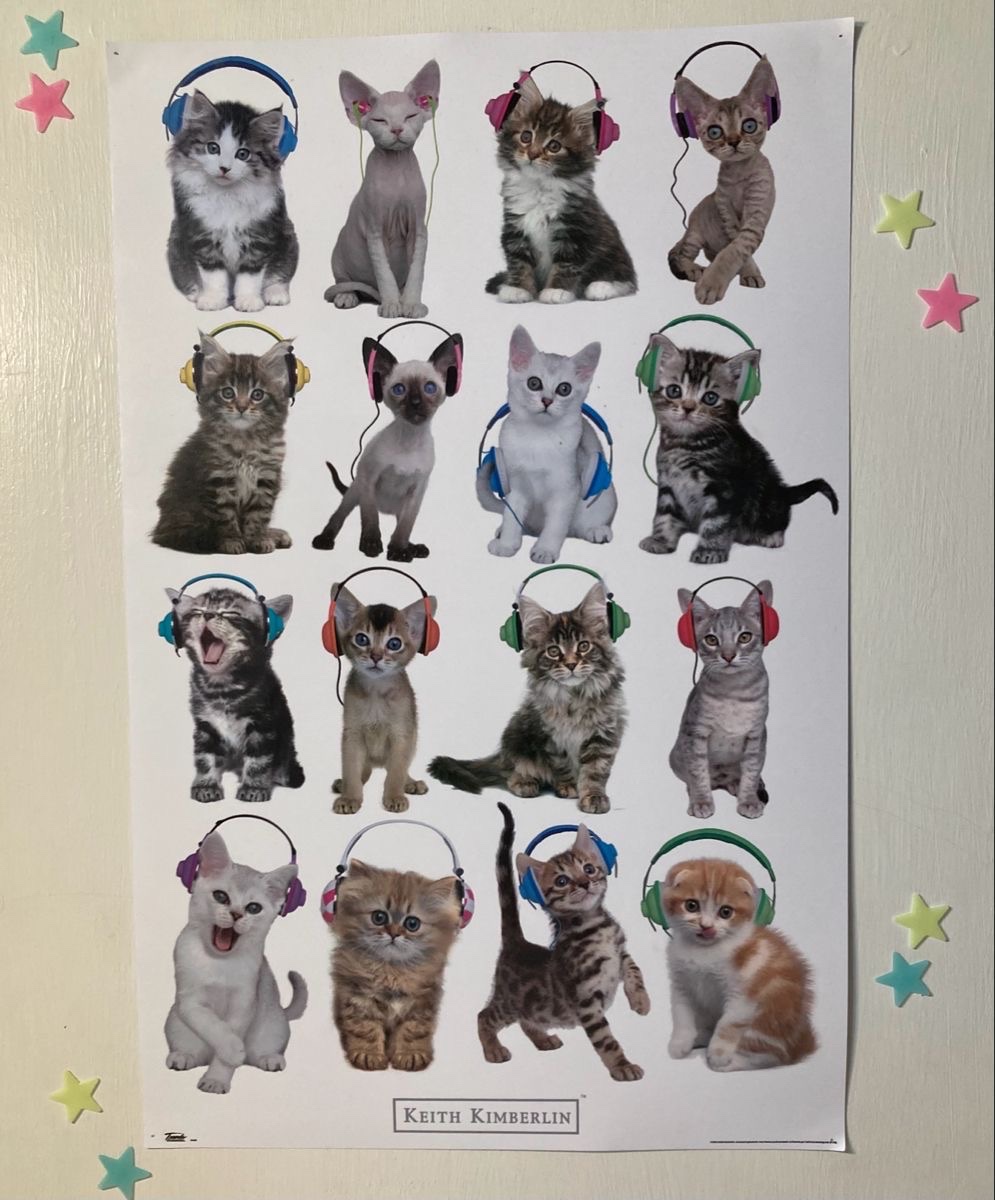 Kitty archives ♡ (@puppierz) on Twitter photo 
