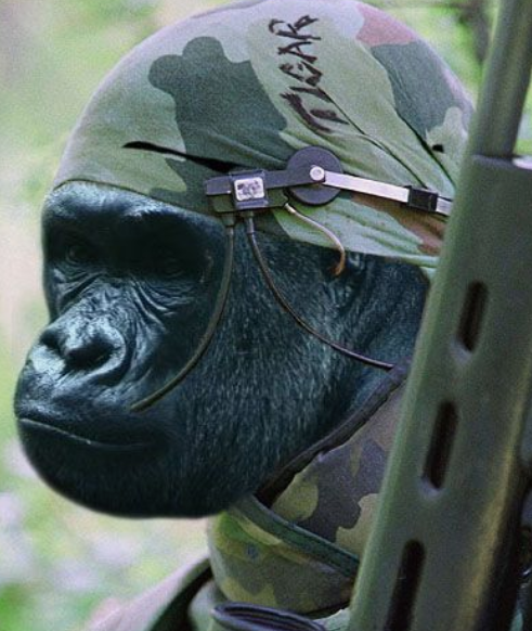 Guerilla_Labs's tweet photo. #GUERILLA  🦍
Apes in the jungle ready for ETF approval 🌴🌴

Dev team has been making major advancements 

-Ability to revoke freeze authority
-Ability to disable mint
-Ability to make metadata non mutable

More info on the TG dropping soon📲
First 100 #SOL addresses ⬇️ https://t.co/NVJyiVGJS4
