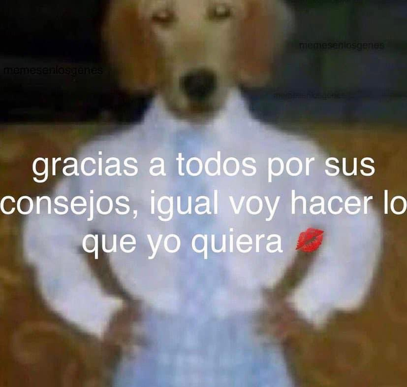 tomiezequiel15's tweet photo. perdón https://t.co/HmycC2j4HC